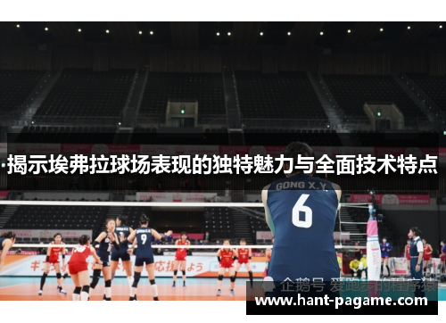 揭示埃弗拉球场表现的独特魅力与全面技术特点 揭示埃弗拉球场表现的独特魅力与全面技术特点