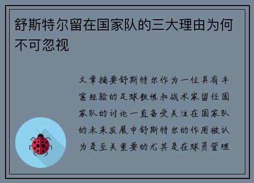 舒斯特尔留在国家队的三大理由为何不可忽视 舒斯特尔留在国家队的三大理由为何不可忽视