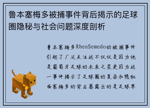 鲁本塞梅多被捕事件背后揭示的足球圈隐秘与社会问题深度剖析